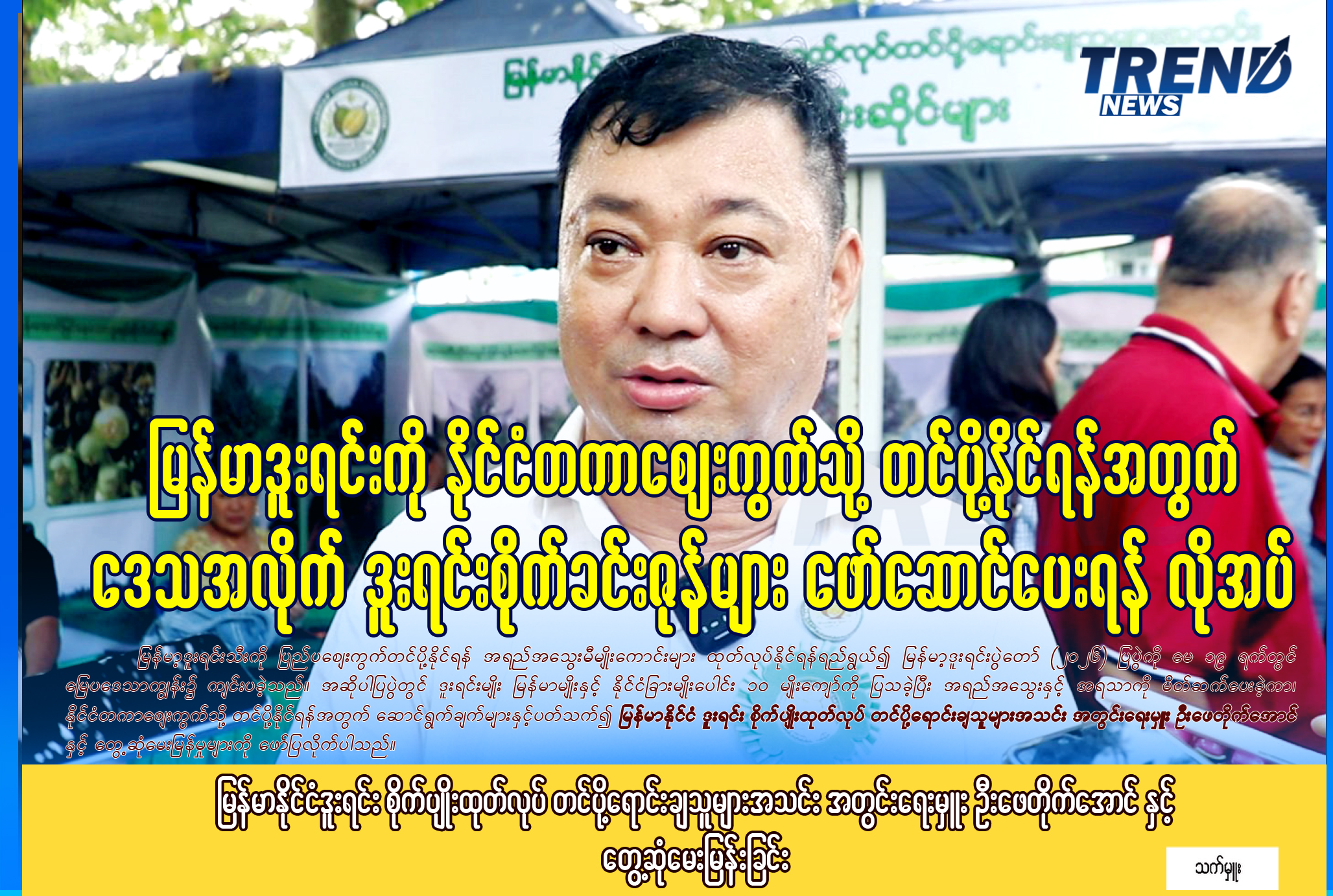 TP_News_Journal