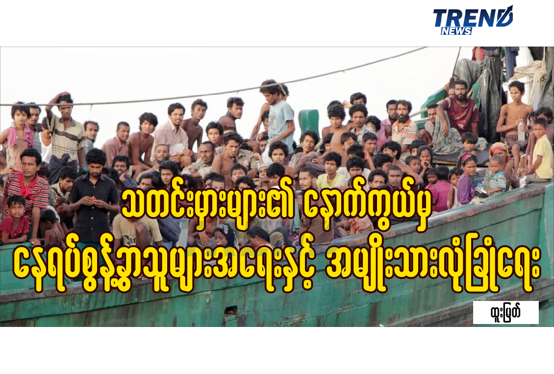 TP_News_Journal